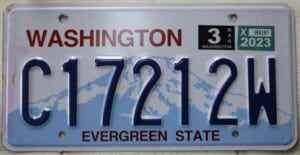 C17212W Pair - Washington - 2023