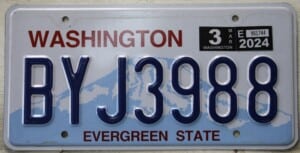 BYJ3988 Pair - Washington - 2024