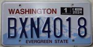 BXN4018 Pair - Washington - 2024