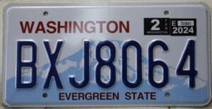 BXJ8064 Pair - Washington - 2024