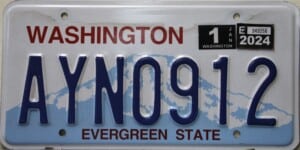 AYN0912 Pair - Washington - 2024