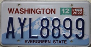 AYL8899 Pair - Washington - 2022