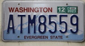 ATM8559 Pair - Washington - 2023