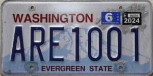 ARE1001 Pair - Washington - 2024