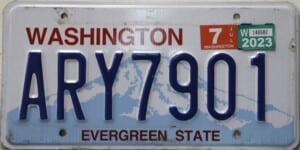 ARY7901 Pair - Washington - 2023