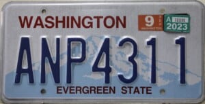 ANP4311 Pair - Washington - 2023