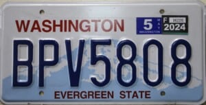 BPV5808 Pair - Washington - 2024