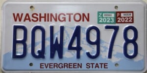 BQW4978 Pair - Washington - 2023