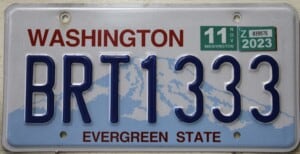 BRT1333 Pair - Washington - 2023