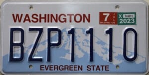BZP1110 Pair - Washington - 2023