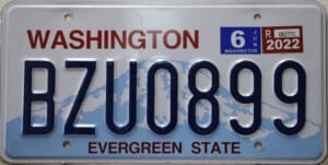 BZU0899 Pair - Washington - 2022