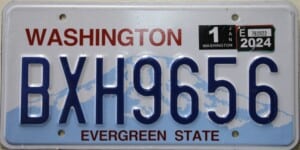 BXH9656 Pair - Washington - 2024