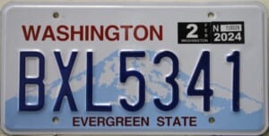 BXL5341 Pair - Washington - 2024