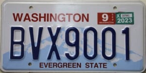 BVX9001 Pair - Washington - 2023