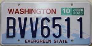 BVV6511 Pair - Washington - 2023
