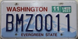 BMZ0011 Pair - Washington - 2023