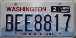 BEE8817 Pair - Washington - 2024