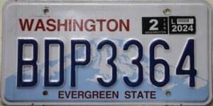 BDP3364 Pair - Washington - 2024