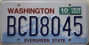 BCD8045 Pair - Washington - 2023
