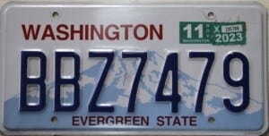 BBZ7479 Pair - Washington - 2023