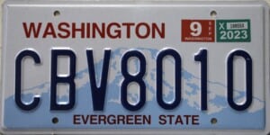 CBV8010 Pair - Washington - 2023