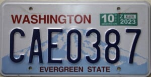 CAE0387 Pair - Washington - 2023