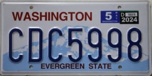CDC5998 Pair - Washington - 2024