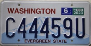 C44459U Pair - Washington - 2023