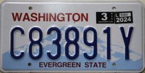 C83891Y Pair - Washington - 2024