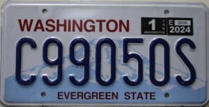 C99050S Pair - Washington - 2024