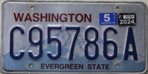 C95786A Pair - Washington - 2024