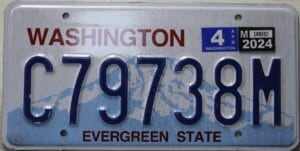 C79738M Pair - Washington - 2024