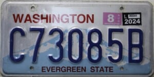 C73085B Pair - Washington - 2024